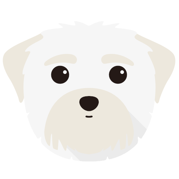 Raffi & Raffi icon