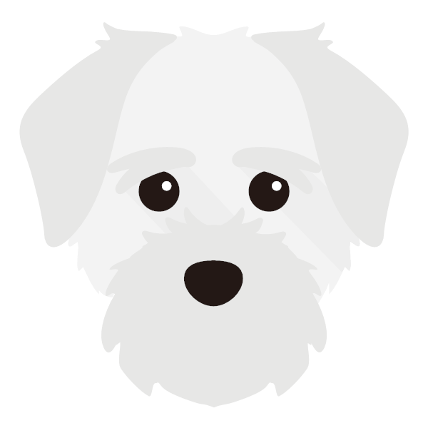 Bella icon