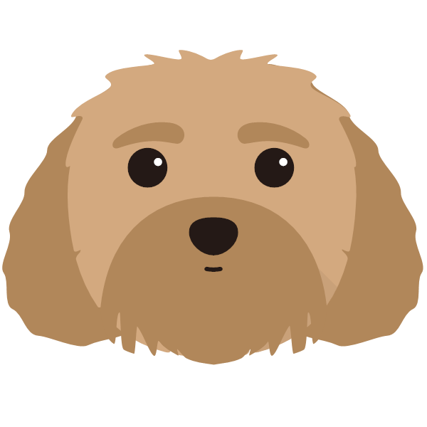 Malti-Poo Icon