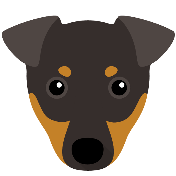 Manchester Terrier icon