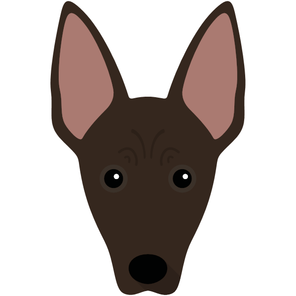 Mexican Hairless Icon