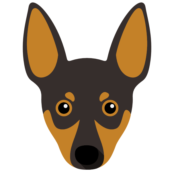 Miniature Pinscher Icon