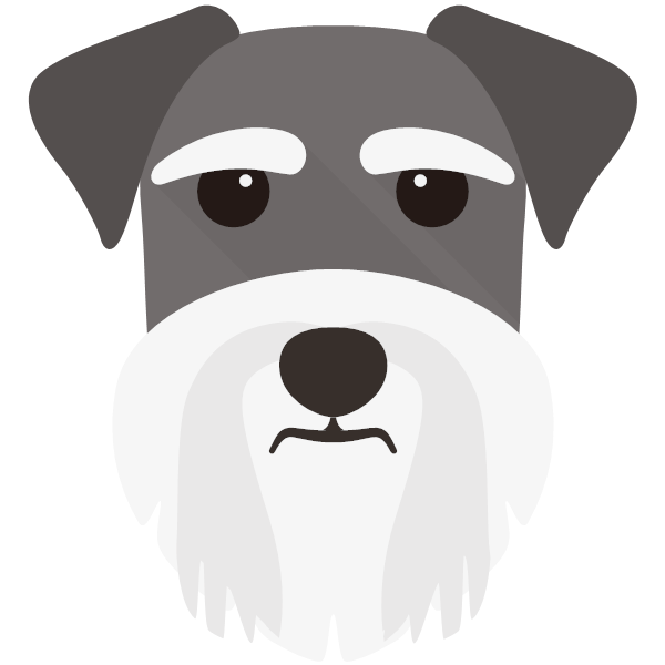 Miniature Schnauzer Icon