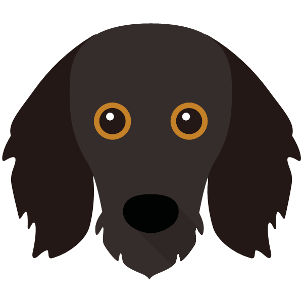 Coco icon