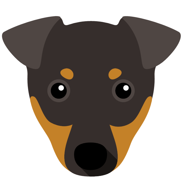 Yogi icon