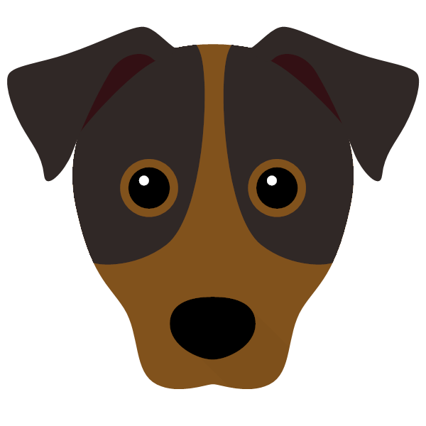 Rocco icon