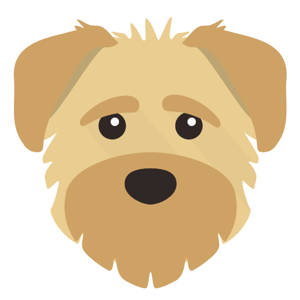 Teddy icon