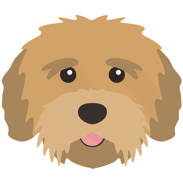 Toto icon