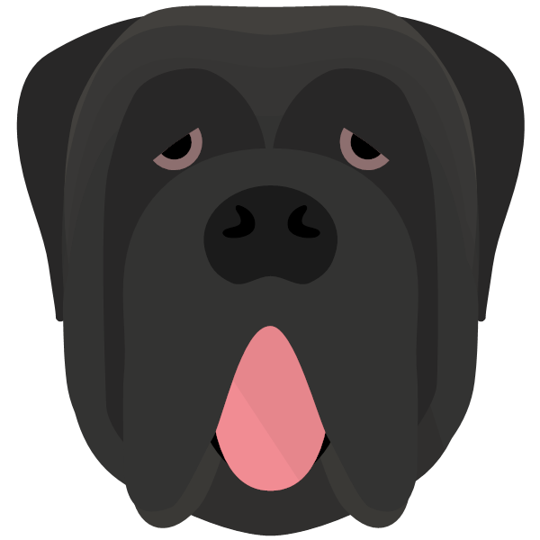 Register your Neapolitan Mastiff Mastino Napoletano with the