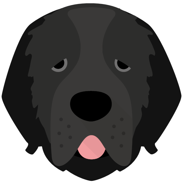 Mojo icon