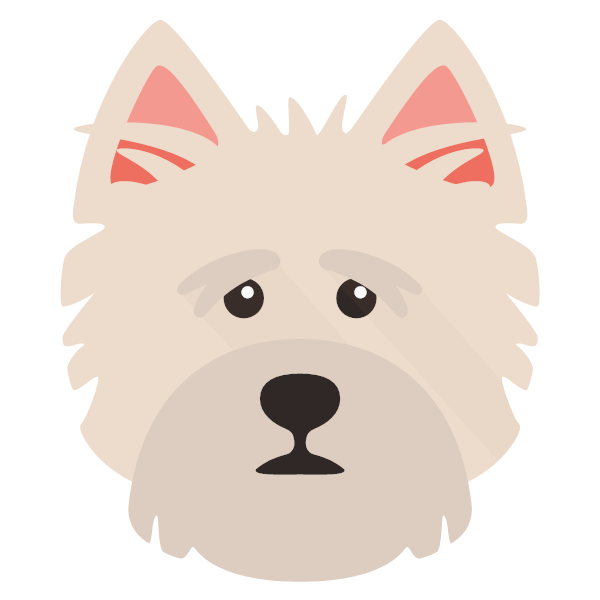 Norfolk Terrier icon