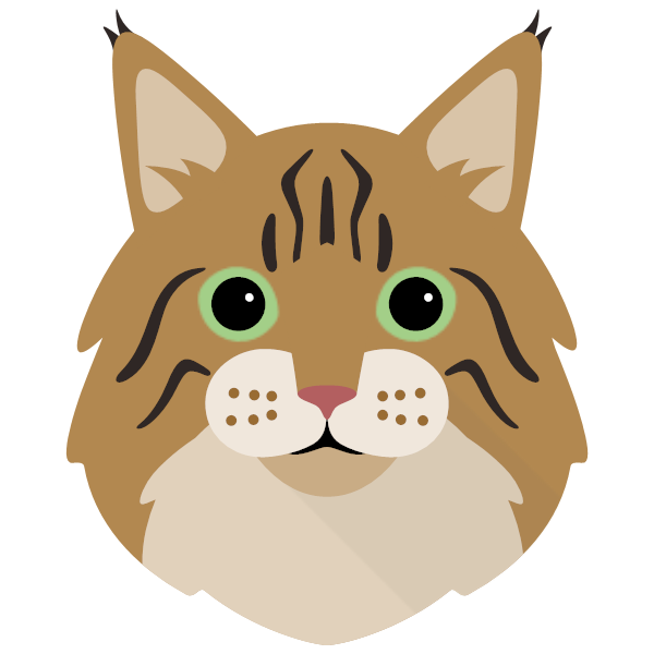 Norwegian Forest Cat Icon