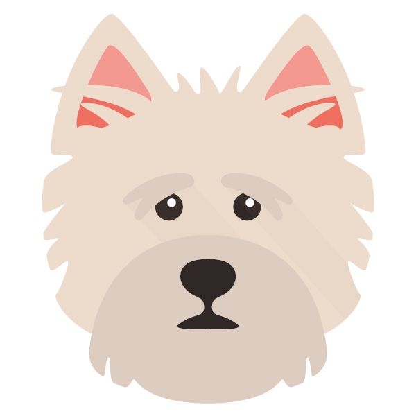 Norwich Terrier Icon