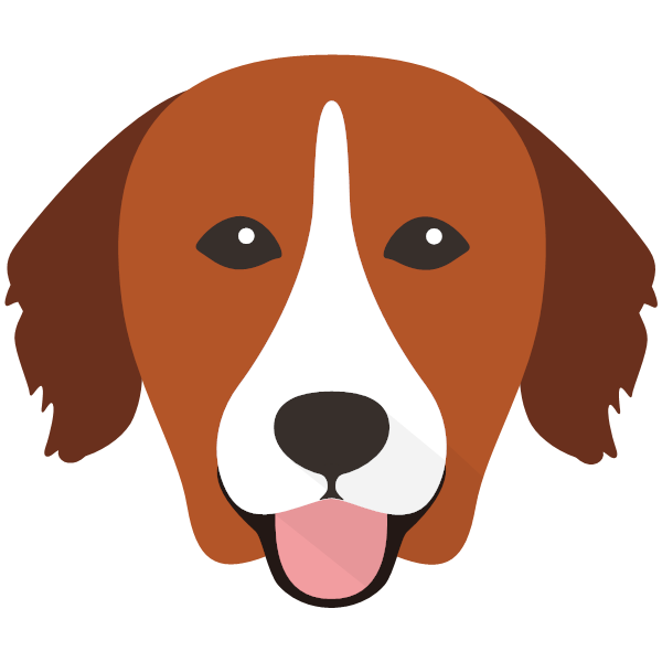 Nova Scotia Duck Tolling Retriever Icon