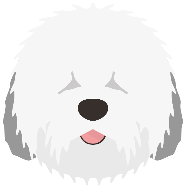 Baloo icon