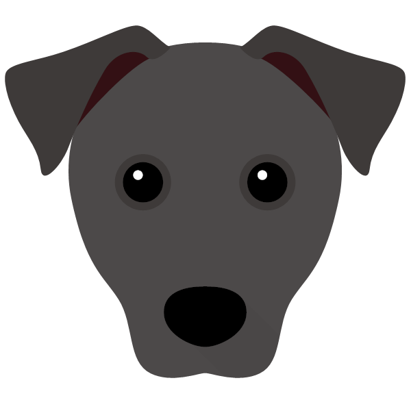 Patterdale Terrier Icon