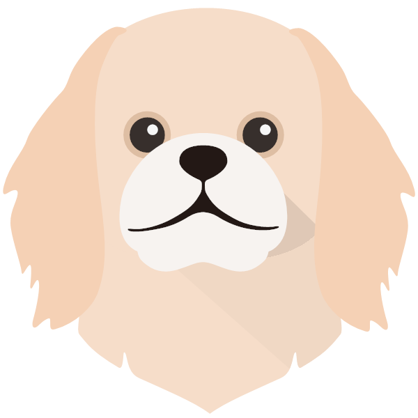 Pekingese icon