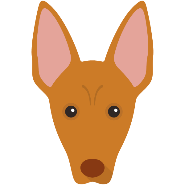 Pharaoh Hound Icon