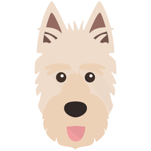 Picardy Sheepdog Icon