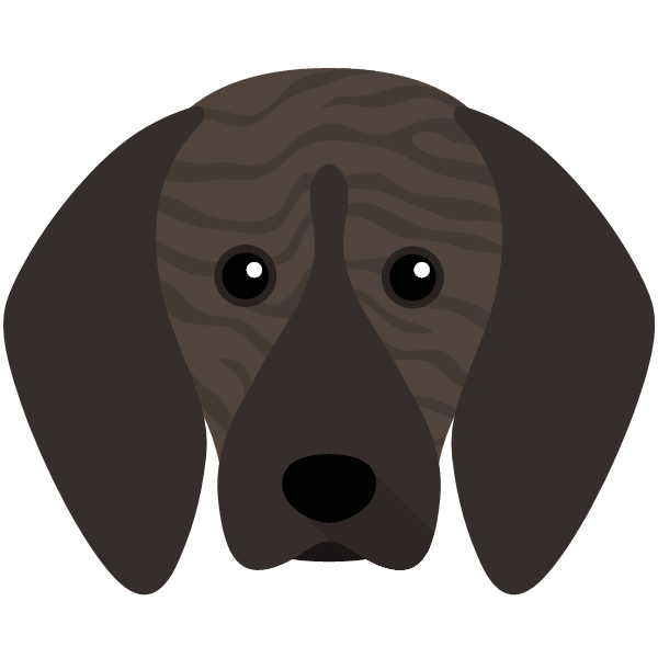 Plott Hound Icon