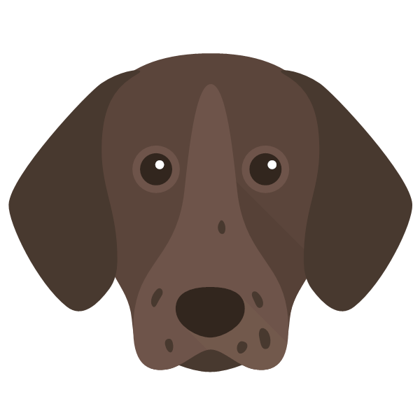 Pointer Icon