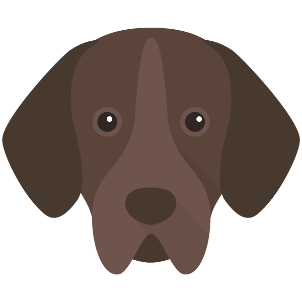 Portuguese Pointer Icon