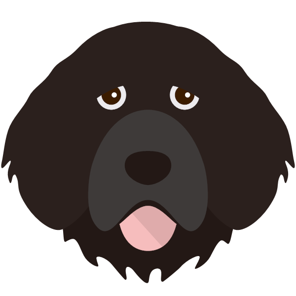 Portuguese Water Dog Icon