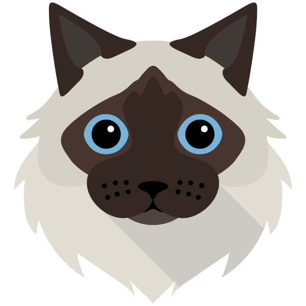 Ragdoll Icon