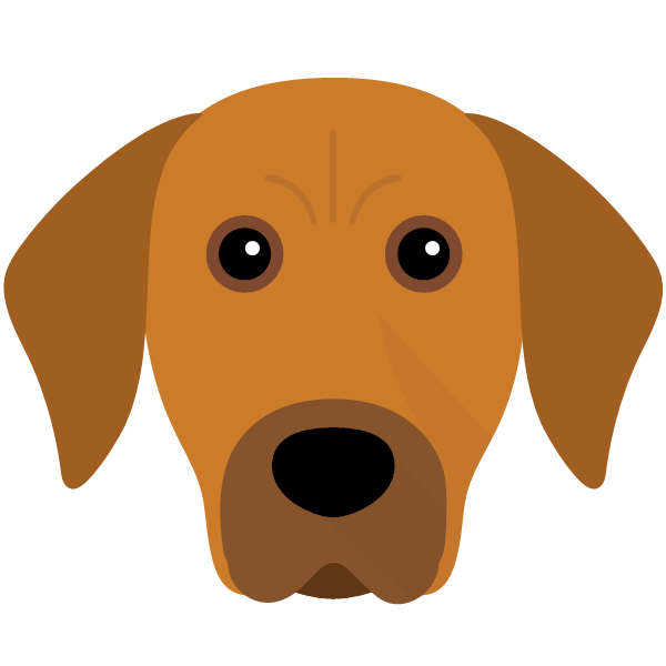 Nala icon