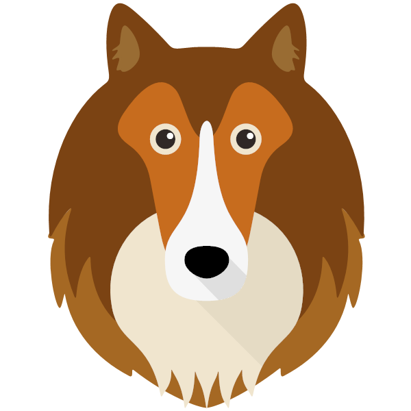 Rough Collie Icon