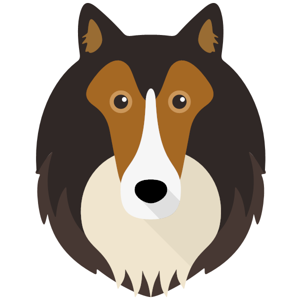 Rough collie outlet gifts