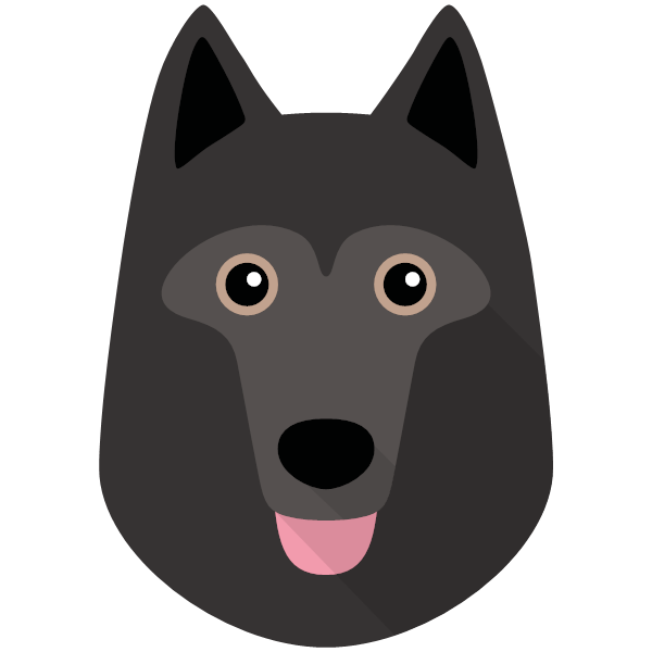 Schipperke Icon