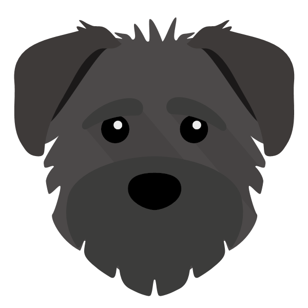 Schnoodle icon