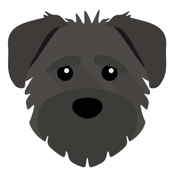 Schnoodle Icon