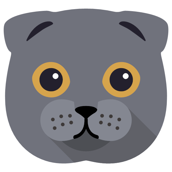 Scottish Fold Icon