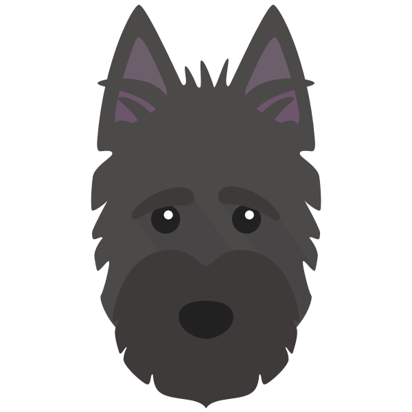 Scottish Terrier Icon