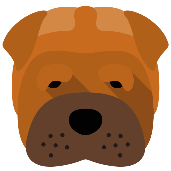 Coco icon