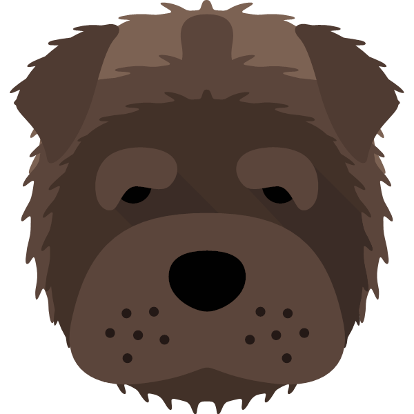 Bear icon