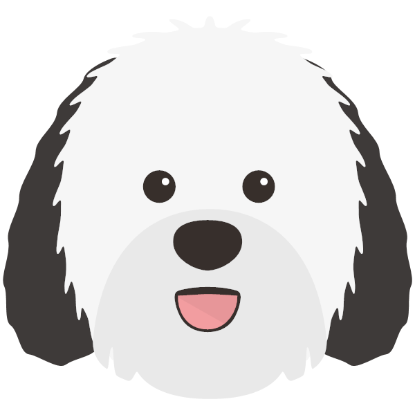 Sheepadoodle buy best sale