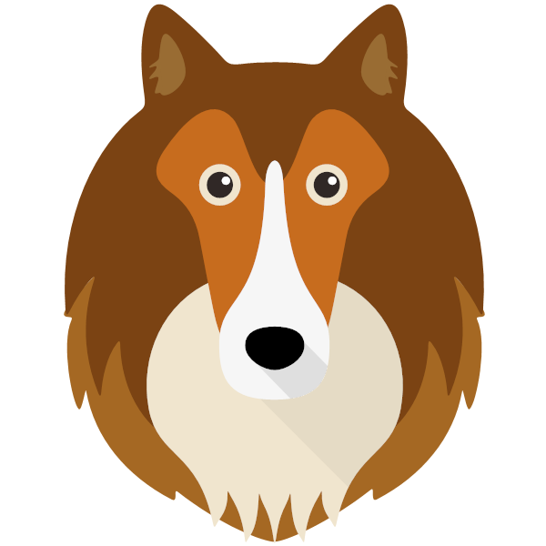 Shetland Sheepdog Icon