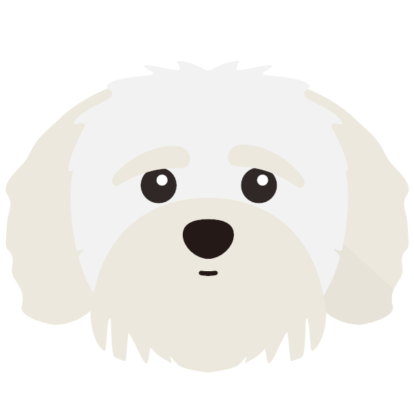 Shih-poo icon