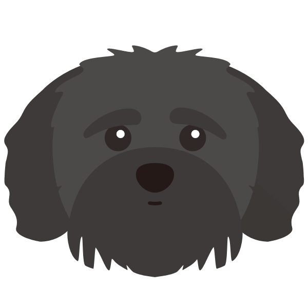 Norbert icon