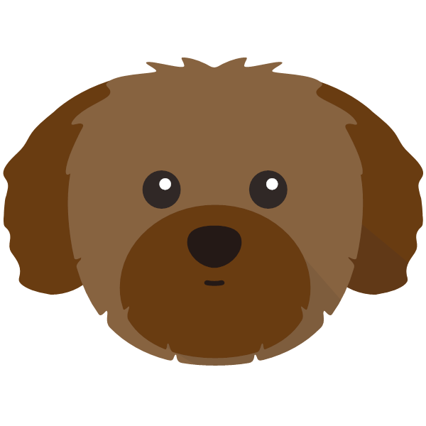 Shih Tzu icon