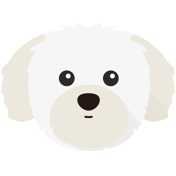 Charlie Bear icon