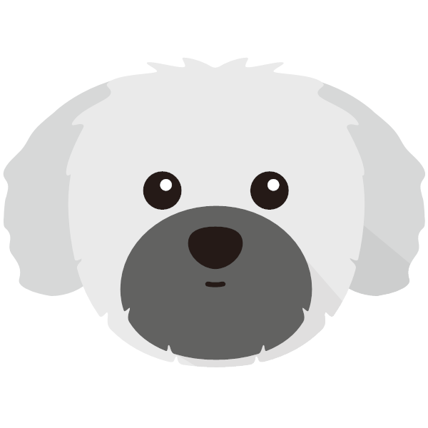 Tedi icon