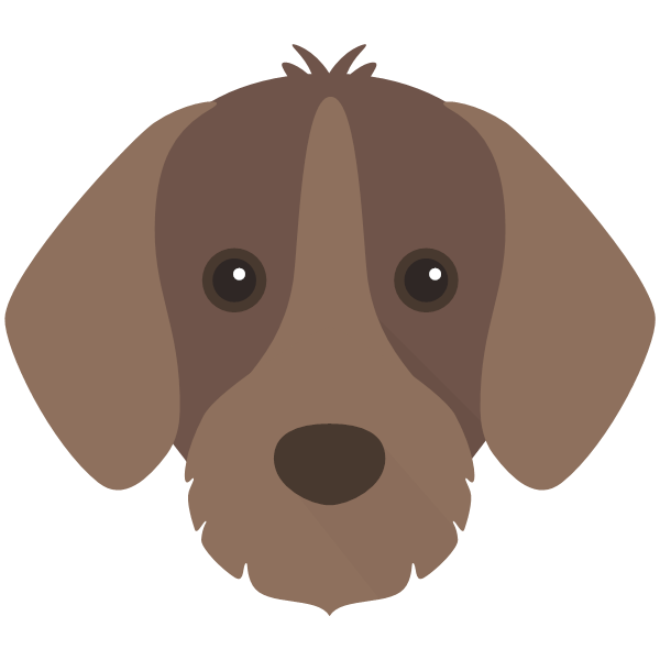 Slovakian Rough Haired Pointer Icon