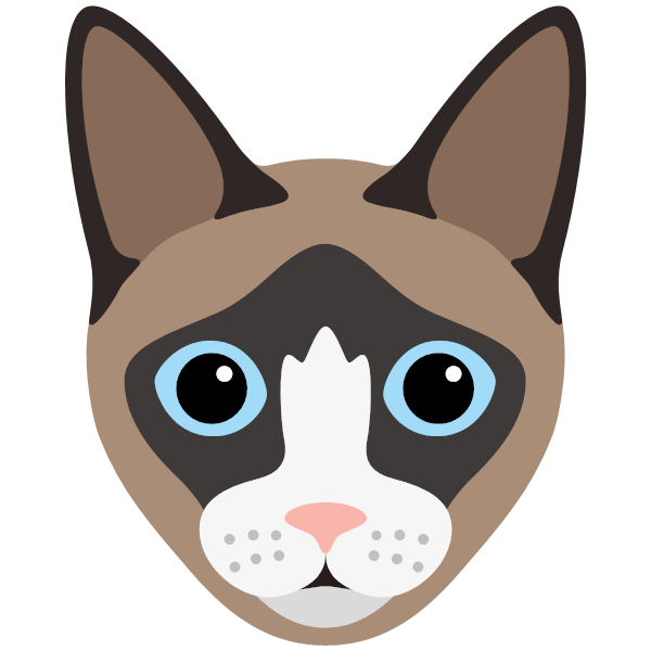 Snowshoe Icon