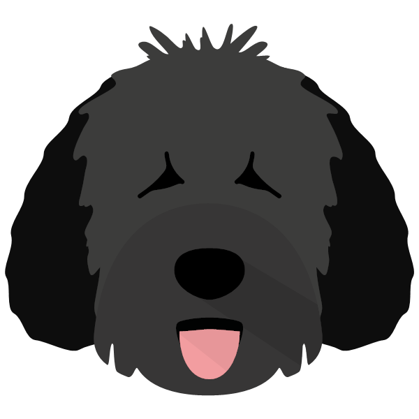 Spanish Water Dog Icon