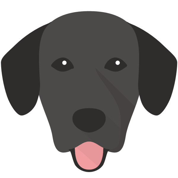 Springador icon