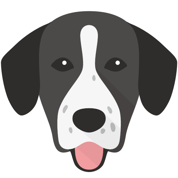 Springador Icon